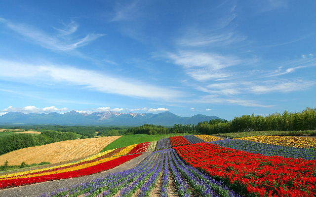 富良野.jpg